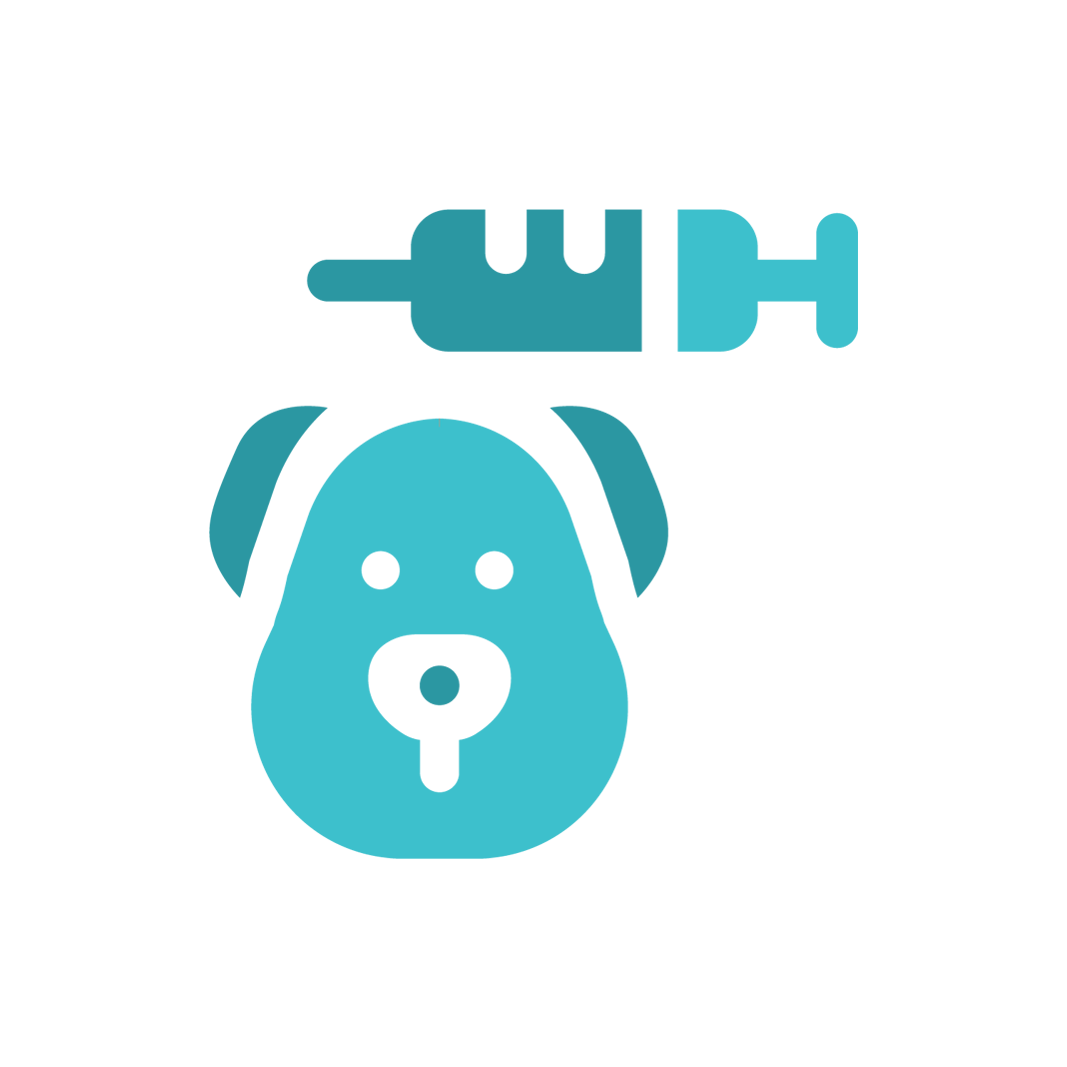 Animal Physical Therapy