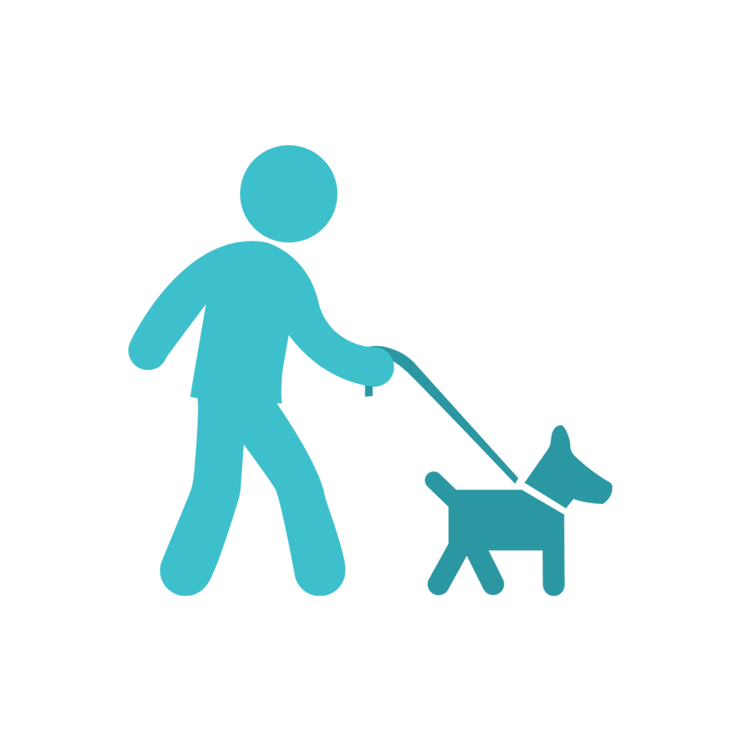 Dog Walking