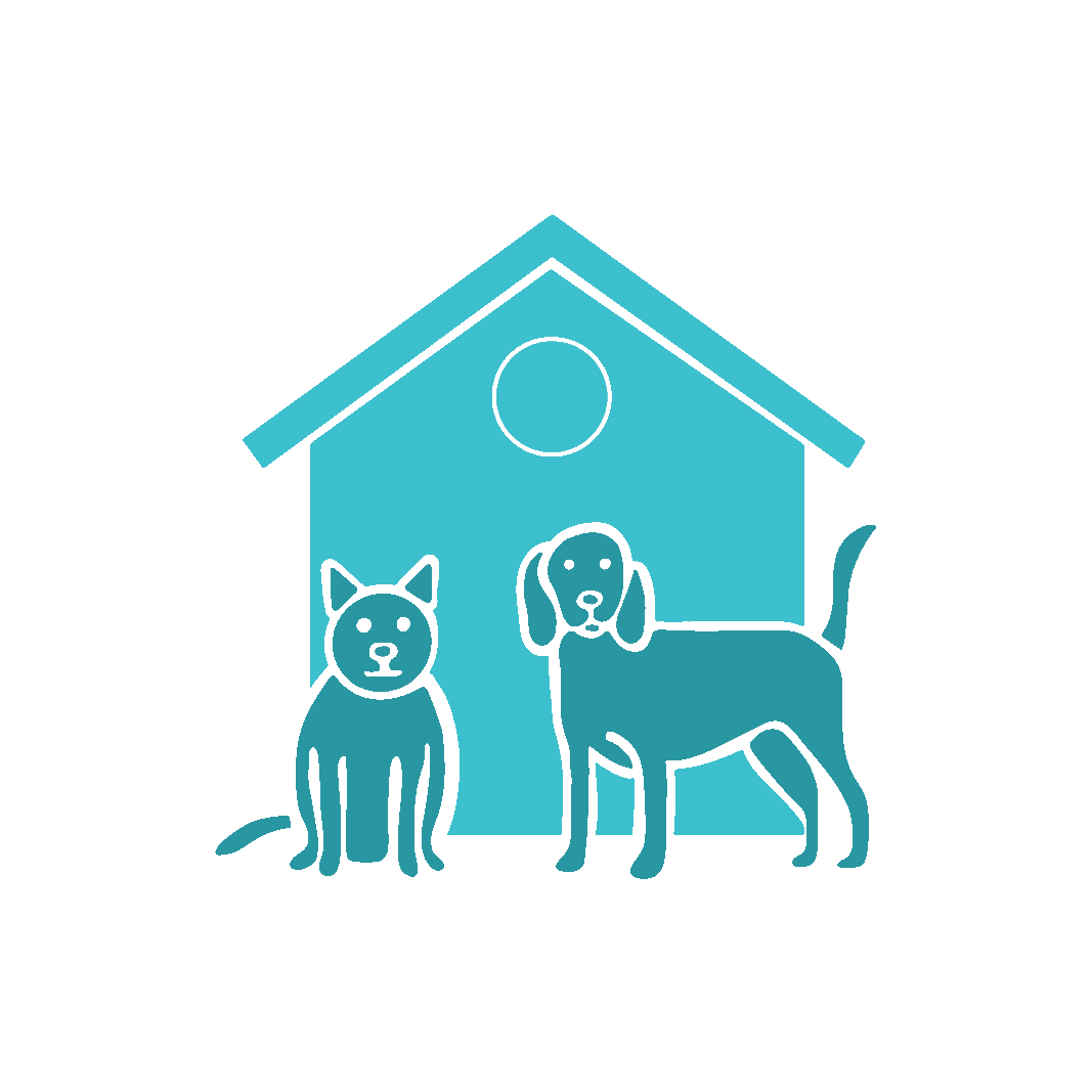 Pet Boarding